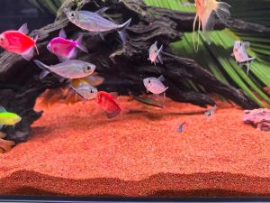 Natural Colored Sand